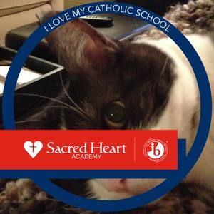 Meet your Posher, Kathleen